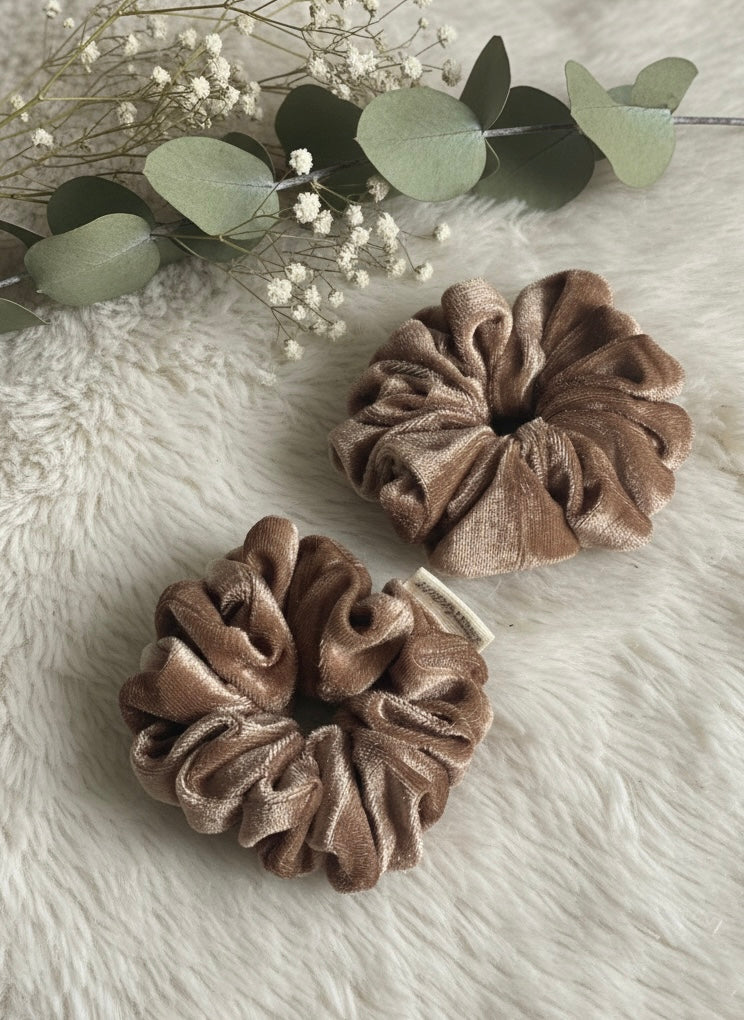 The Zinnia Collection